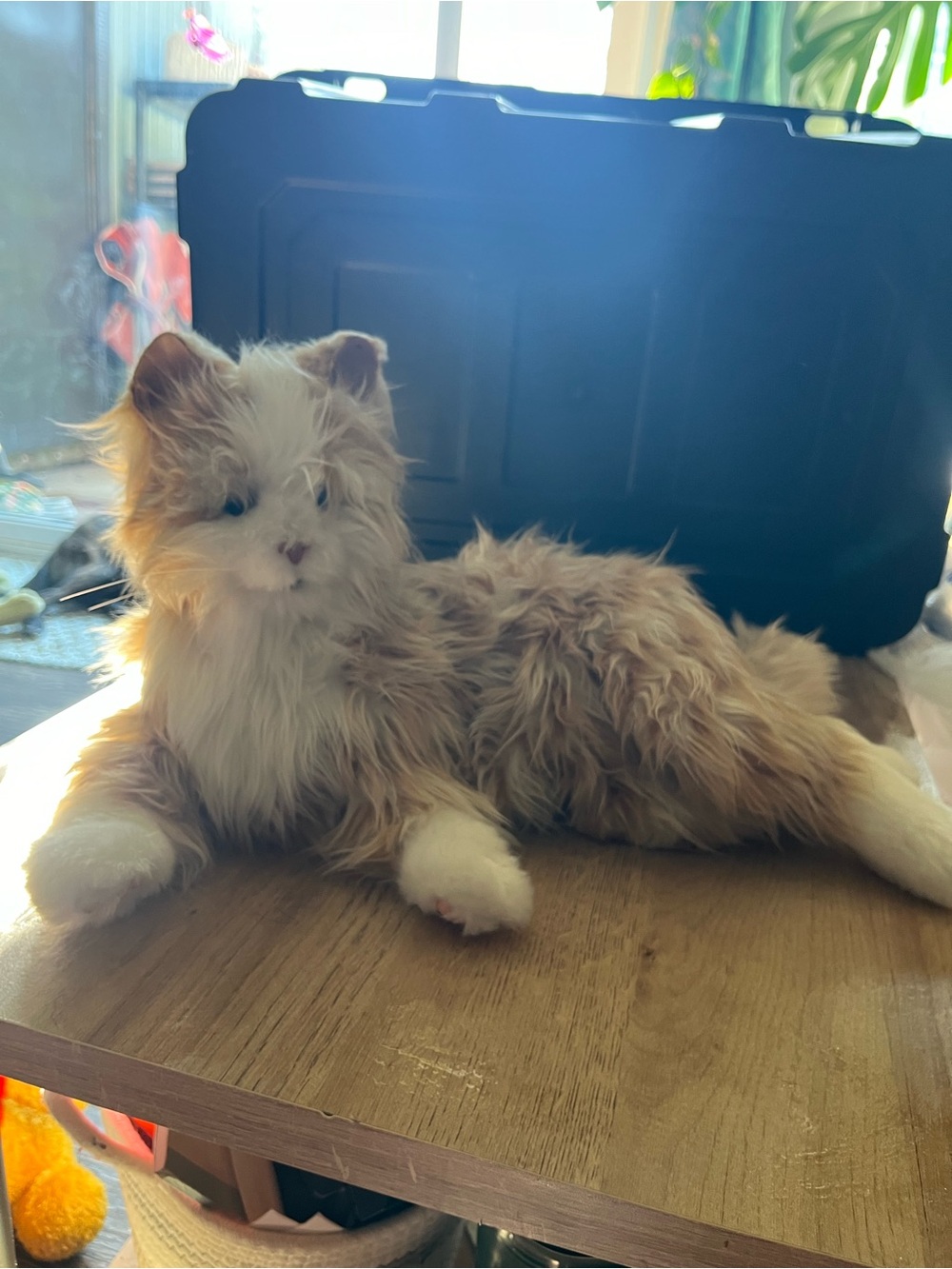 Joy For All Animatronic Interactive Tabby Cat Kitty Comfort Companion Works!
